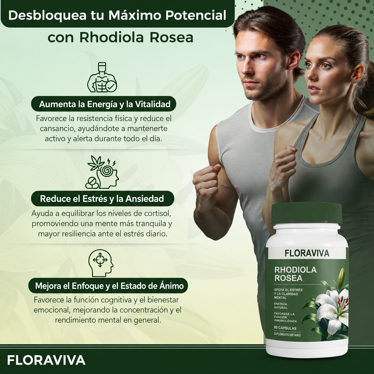 Rhodiola Rosea Floraviva | Alivio del Estrés y Energía Natural