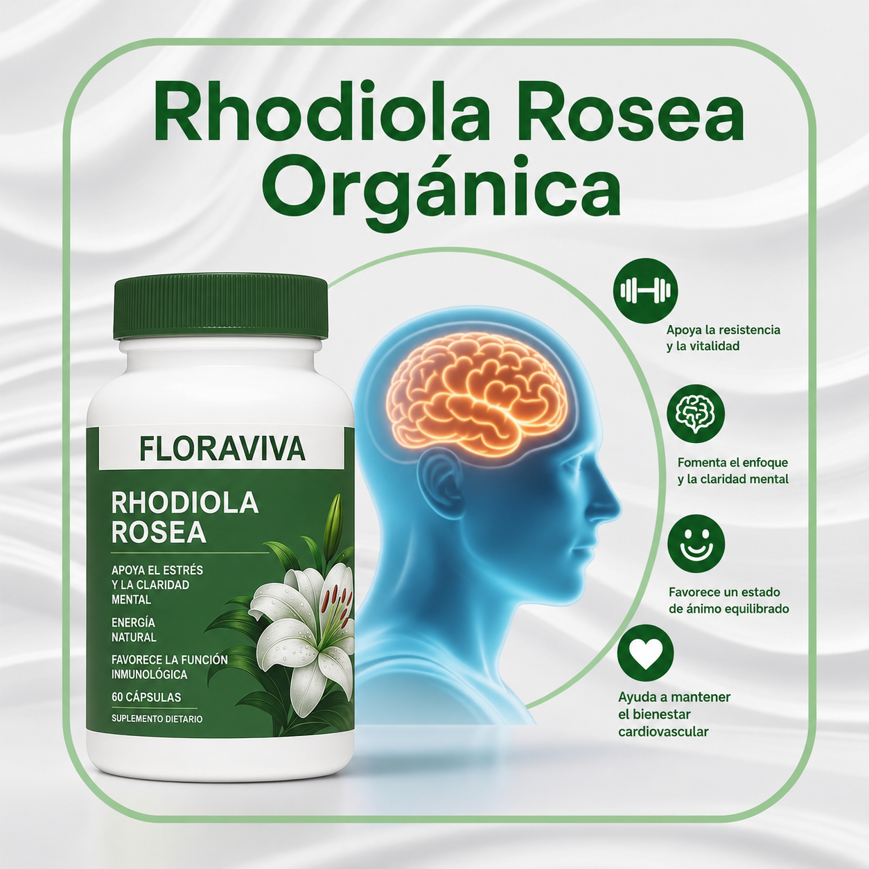 Rhodiola Rosea Floraviva | Alivio del Estrés y Energía Natural