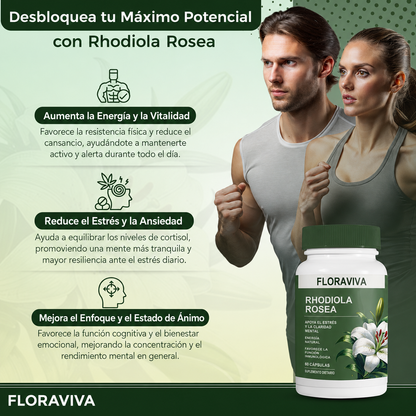 Rhodiola Rosea Floraviva | Alivio del Estrés y Energía Natural